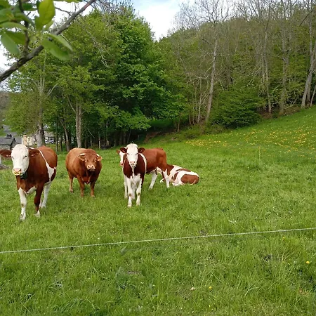 Hébergement de vacances Maison de campagne Montusclat